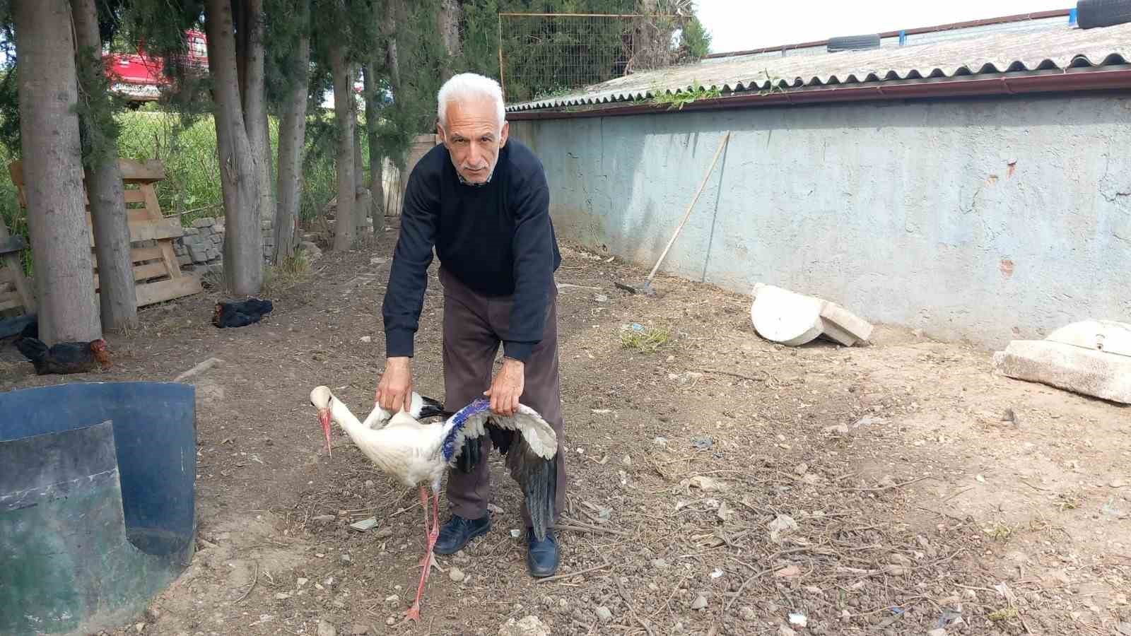ORHANGAZİ İZNİK YOLUNDA VATANDAŞLAR TARAFINDAN BULUNAN YARALI HALDE BULUNAN LEYLEK