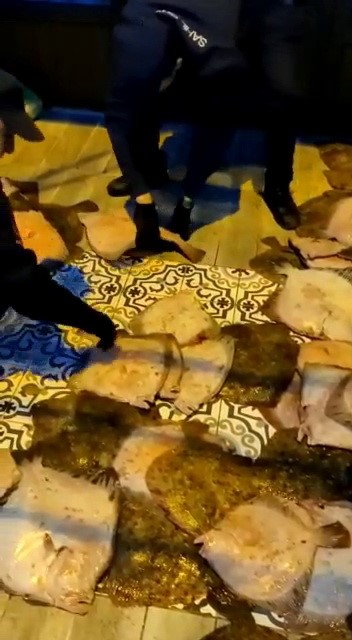 ZONGULDAK’IN KOZLU İLÇESİNDE YASADIŞI KALKAN BALIĞI AVLADIĞI TESPİT EDİLEN 3