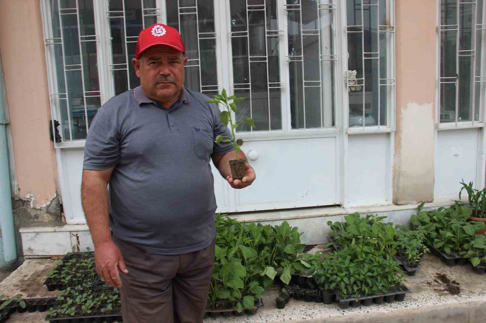 HAVALARIN ISINMASI İLE BİRLİKTE AYDIN'DA FİDE SATIŞLARI ARTIŞ GÖSTERİRKEN, VATANDAŞLAR