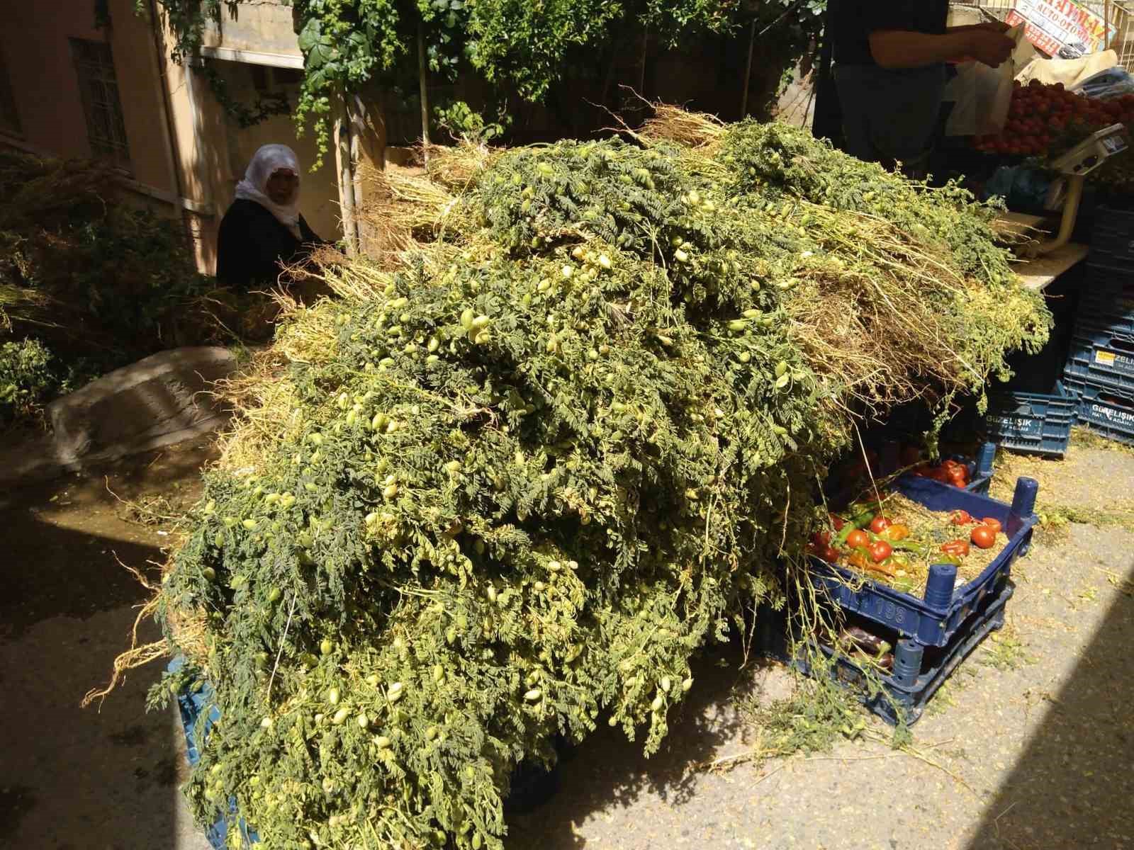 MARDİN OVASINDA YETİŞEN YEŞİL NOHUT TEZGAHLARDA YERİNİ ALMAYA BAŞLADI.