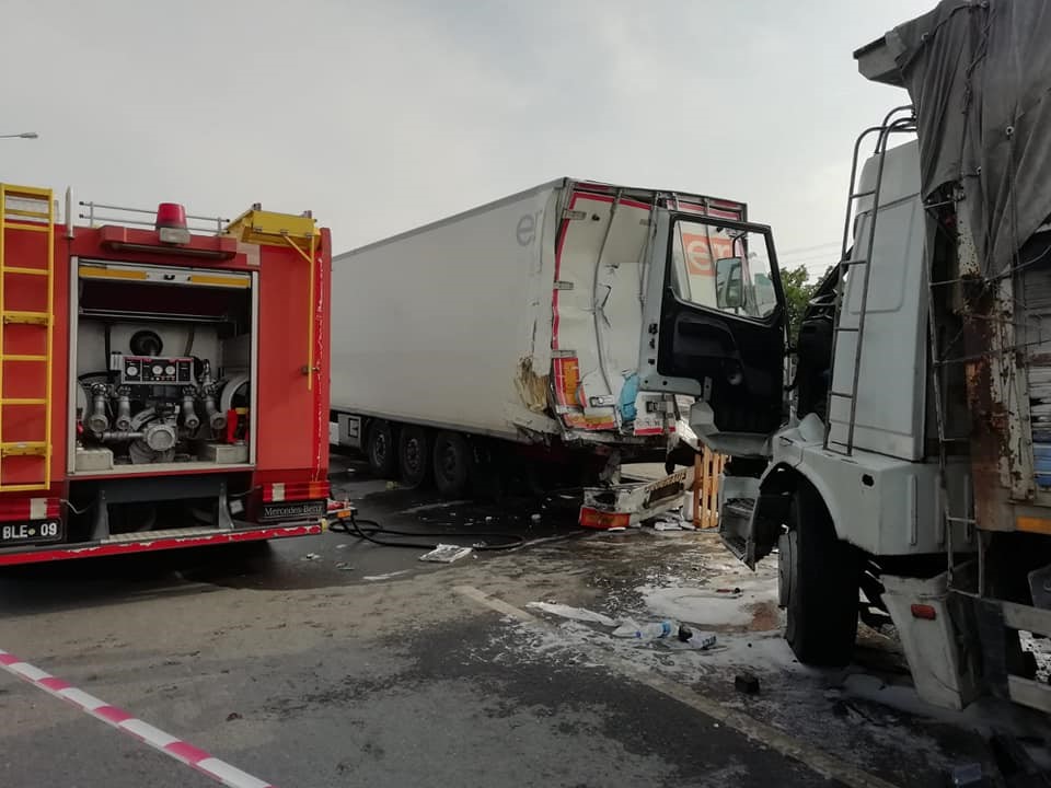 DENİZLİ’NİN SARAYKÖY İLÇESİNDE YAVRU KÖPEĞİ ALMAK İÇİN YOLA ATLAYAN VE