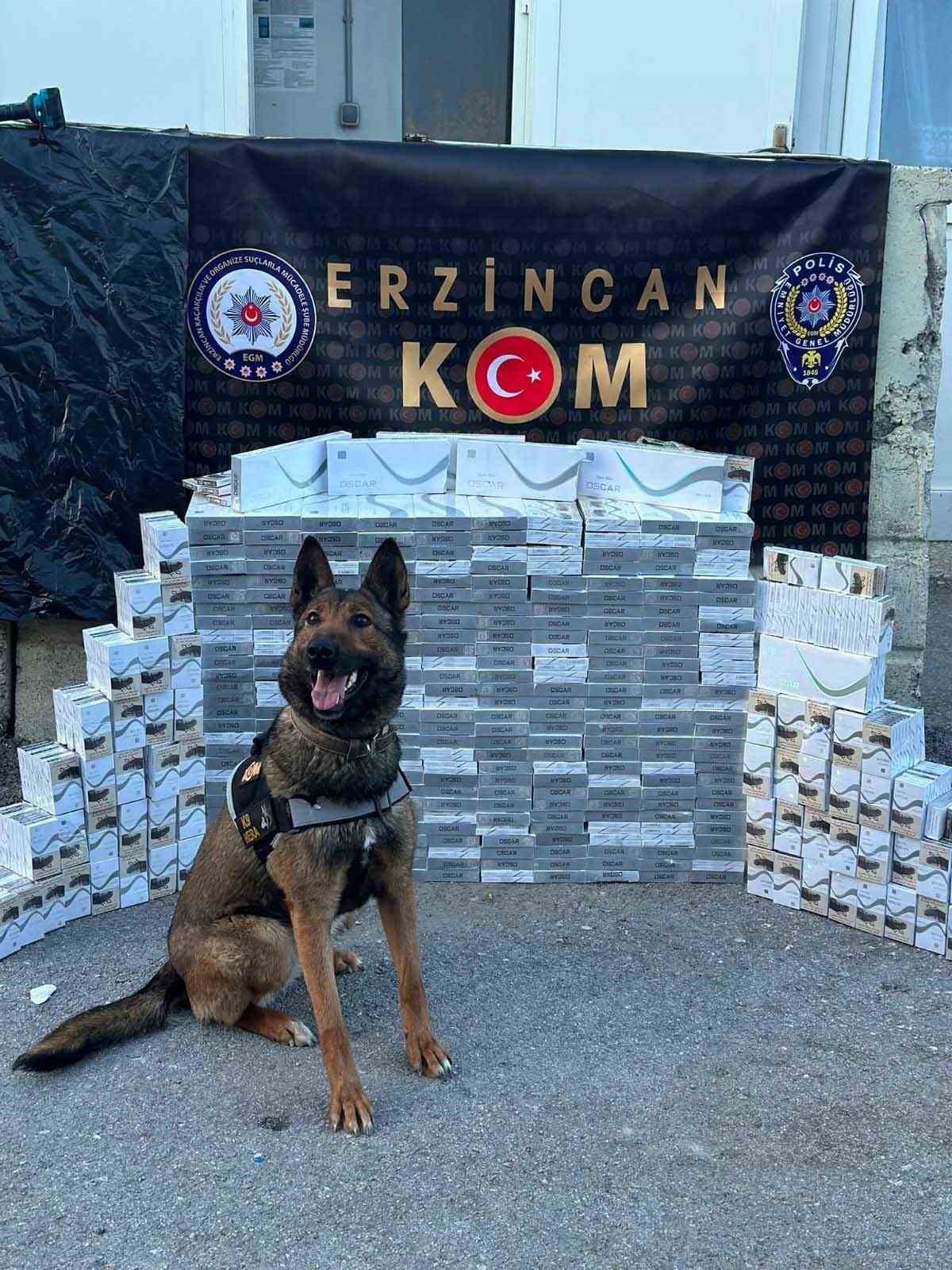 YOLCU OTOBÜSÜNDE 3 BİN 400 PAKET KAÇAK SİGARA ELE GEÇİRİLDİ