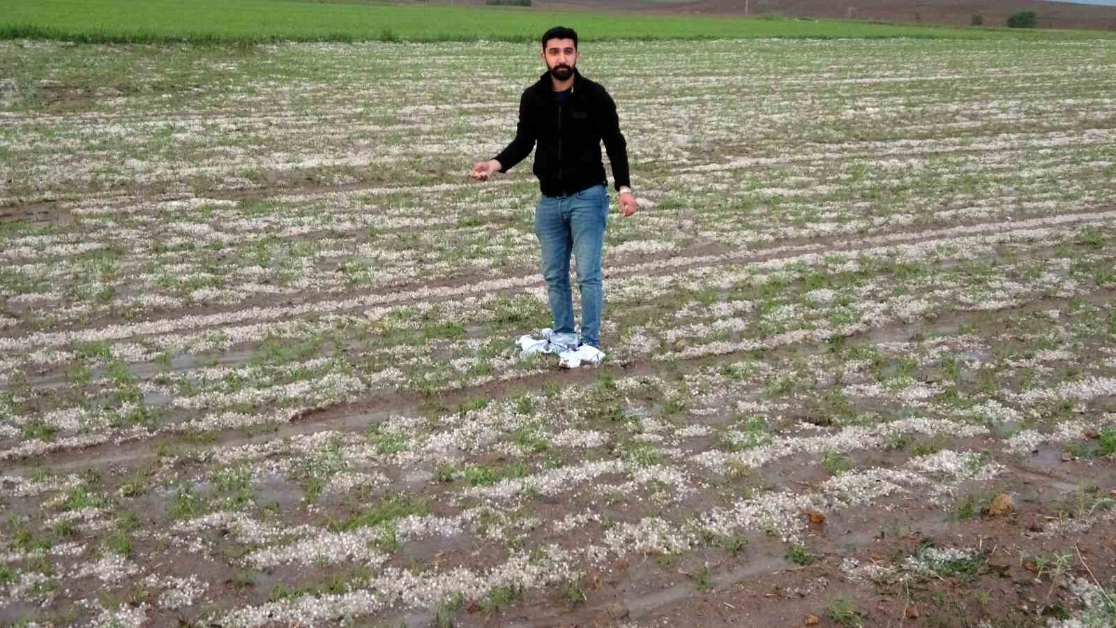 YOZGAT’TA DOLU YAĞIŞI EKİLİ ALANA ZARAR VERDİ