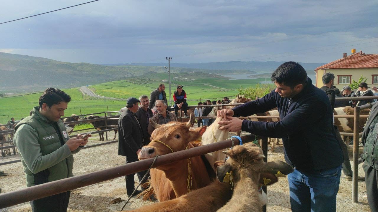 YOZGAT’TA TEDBİR AMAÇLI TÜM HAYVAN PAZARLARI KAPATILDI