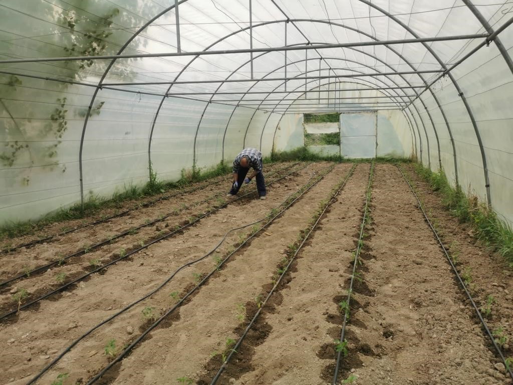 ÇEVRE VE İKLİM DOSTU KAMPÜS UYGULAMALARI ÇERÇEVESİNDE ZONGULDAK BÜLENT ECEVİT