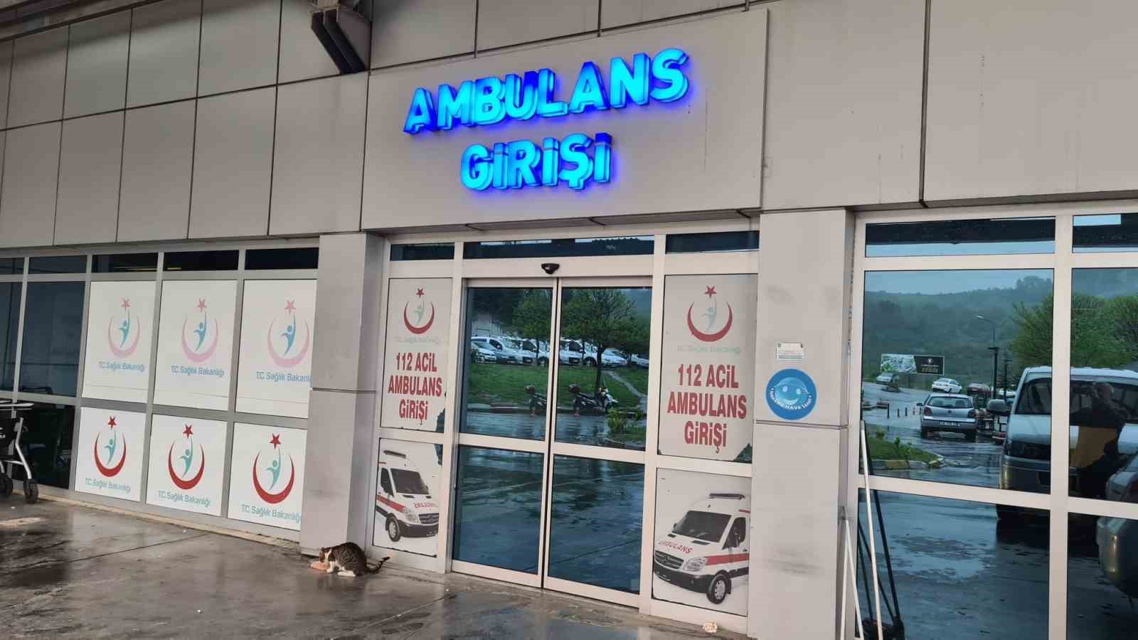 ZONGULDAK - KARADENİZ EREĞLİ İLÇESİNE BAĞLI ORMANLI BELDESİNDE İKİ GENÇ