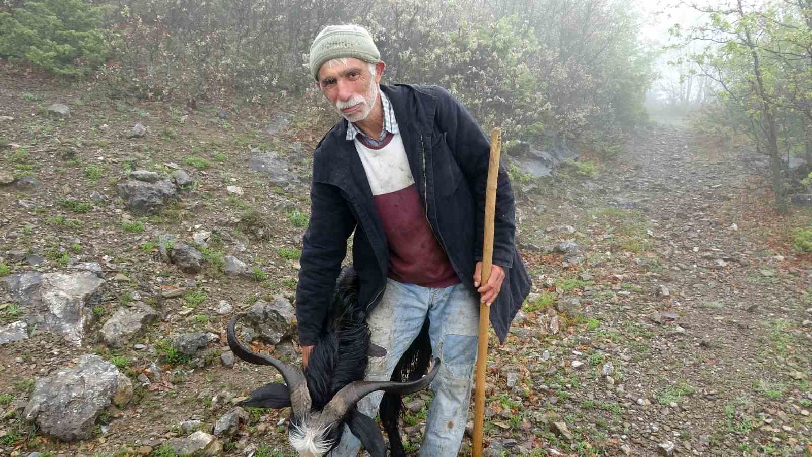 TOKAT'TA ZORLU HAVA ŞARTLARINA RAĞMEN MESLEĞİNDEN VAZGEÇMEYEN MEHMET MERTYILMAZ'IN KEÇİLERİYLE