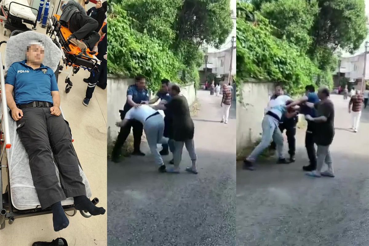 Pendik’te kuşları yediği gerekçesiyle bir kediyi kilitli tutan şahıs, ihbar