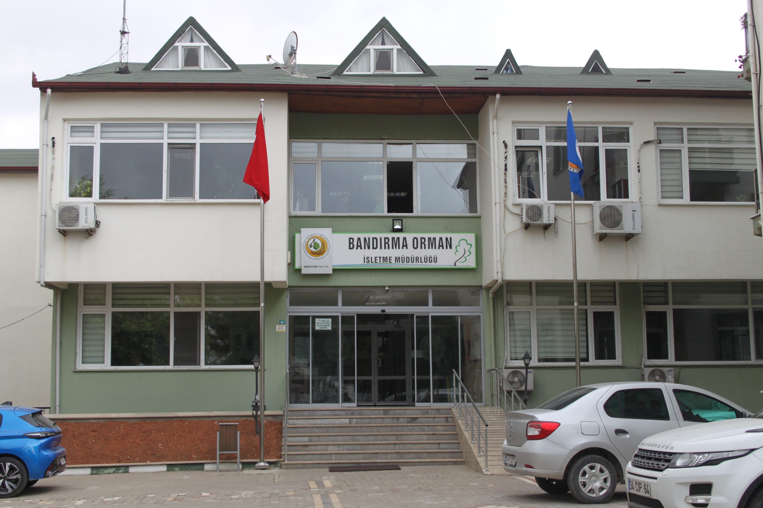 Ülke ekonomisine katkı sağlayan reçine, bu sene Kapıdağ Yarımada’sında 40