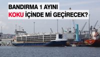 Bandırma Çelebi Limanı’ndan yapılan canlı hayvan ithalatının önümüzdeki süreçte devam