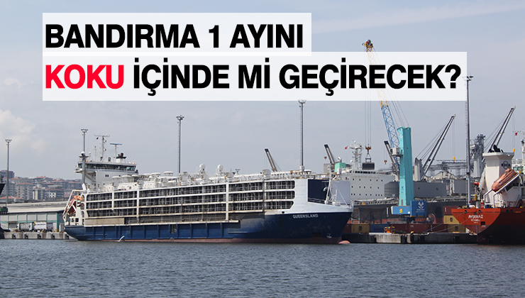 Bandırma’ya daha gemilerce canlı hayvan gelecek Bandırma Çelebi Limanı’ndan yapılan canlı hayvan ithalatının önümüzdeki süreçte devam