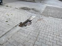 Bandırma 600 Evler Mahallesi Kocatepe Sokak’ta, 6 aydan daha fazla