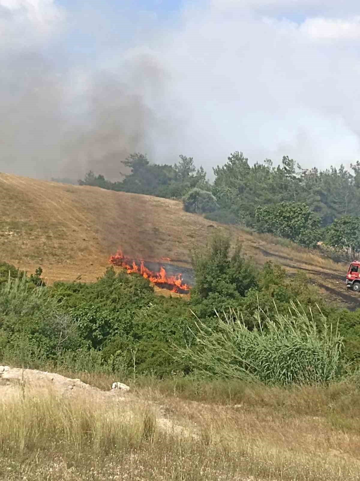 ADANA’DA BUĞDAY TARLASINDA ANIZ YAKILMASI SONRASI ALEVLER ETRAFTAKİ AĞAÇLARA SIÇRADI.