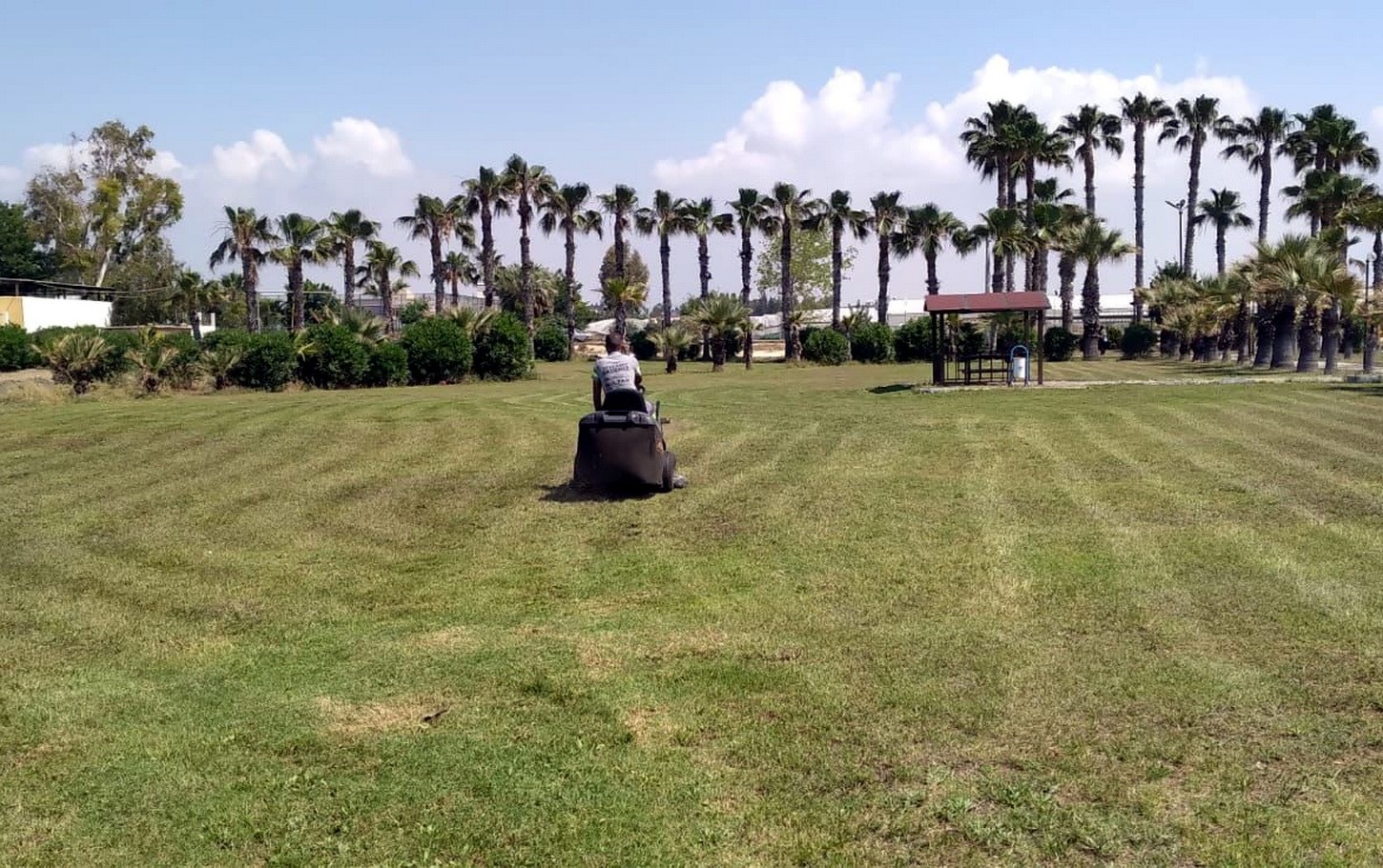 AKDENİZ BELEDİYESİ, İLÇE GENELİNDE BULUNAN PARK, BAHÇE, YEŞİL ALAN, SPOR