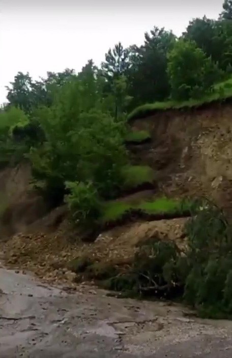 AMASYA’NIN TAŞOVA İLÇESİNE BAĞLI GÖKPINAR KÖYÜNDE ÇAM AĞAÇLARIYLA KAPLI ALANDA