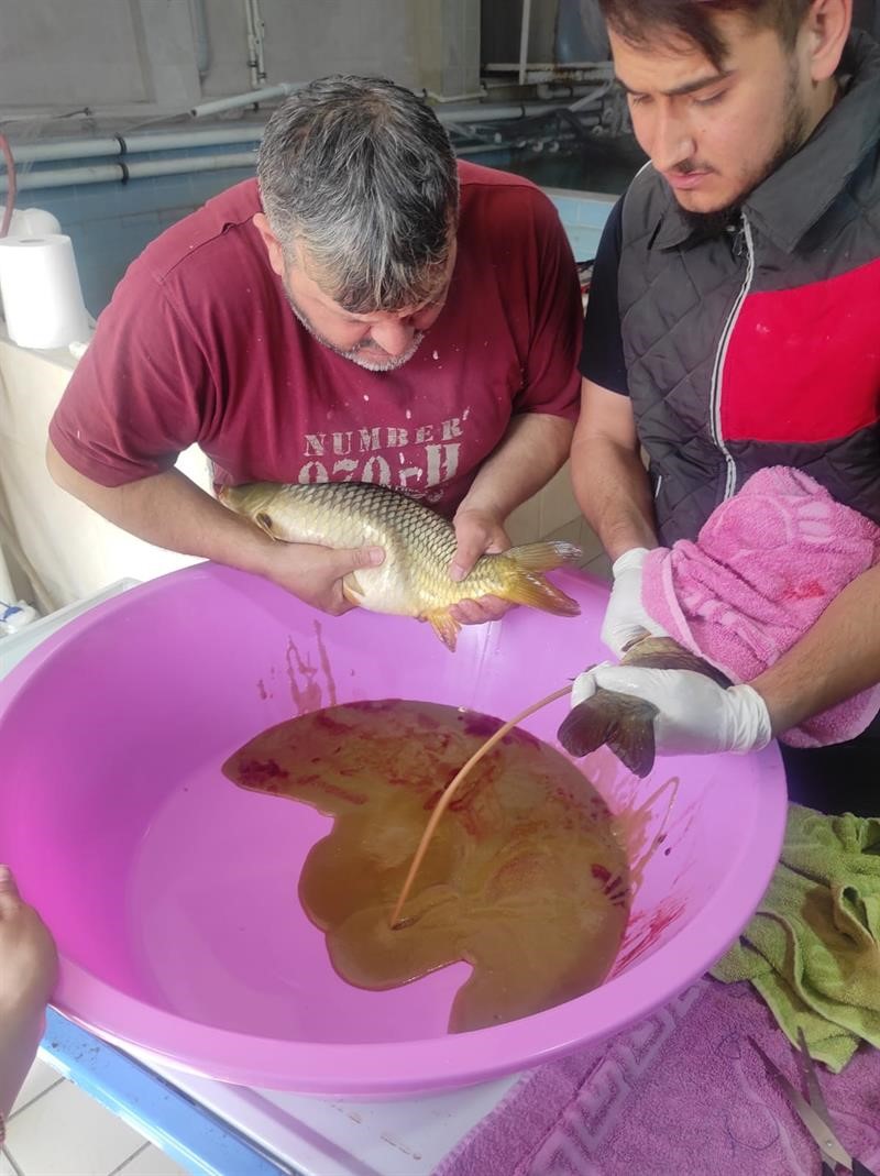 BOLU İL TARIM VE ORMAN MÜDÜRLÜĞÜ’NE BAĞLI BAĞLI GÖLKÖY SU