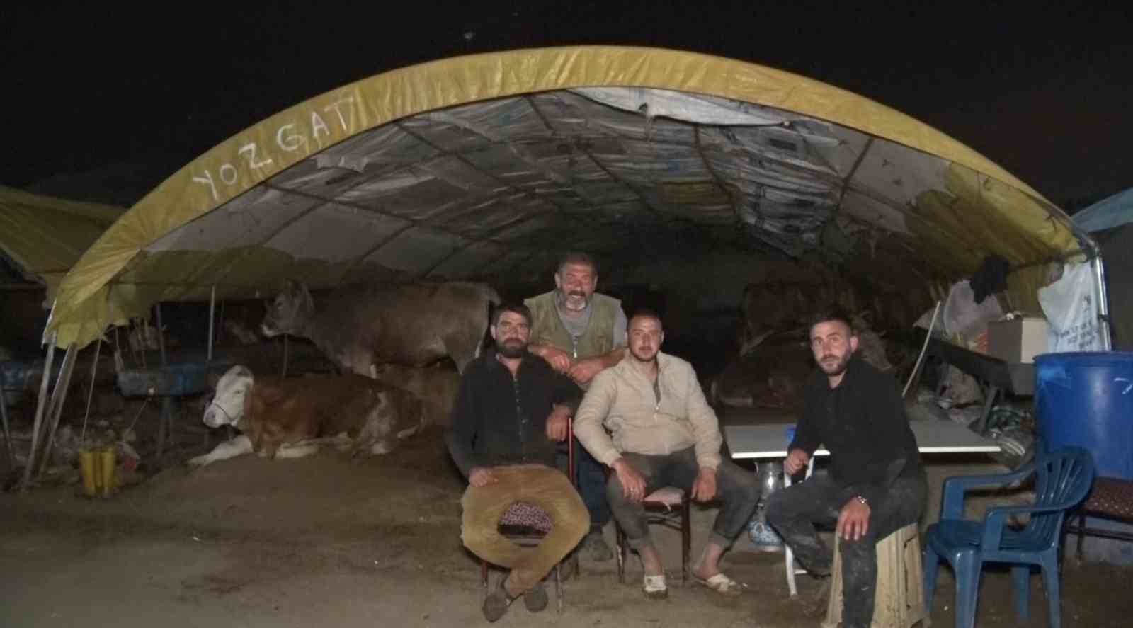 KURBAN BAYRAMI'NA YAKLAŞILIRKEN KURBAN PAZARLARINDA BEKLEYİŞ DEVAM EDİYOR. KURBANLIK HAYVAN