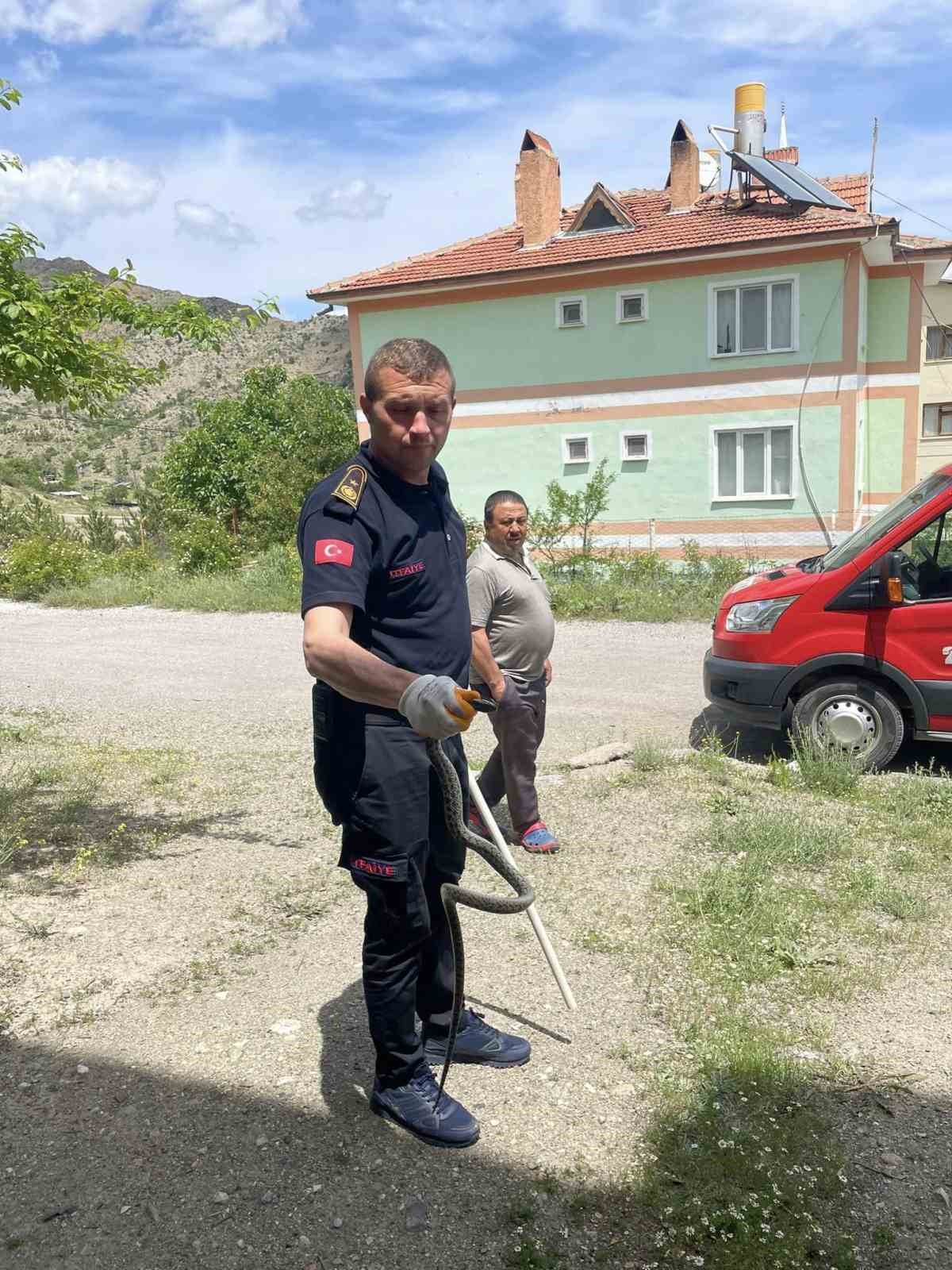ÇANKIRI’DA BİR APARTMANA GİREN YILAN İTFAİYE EKİPLERİ TARAFINDAN YAKALANARAK DOĞAYA