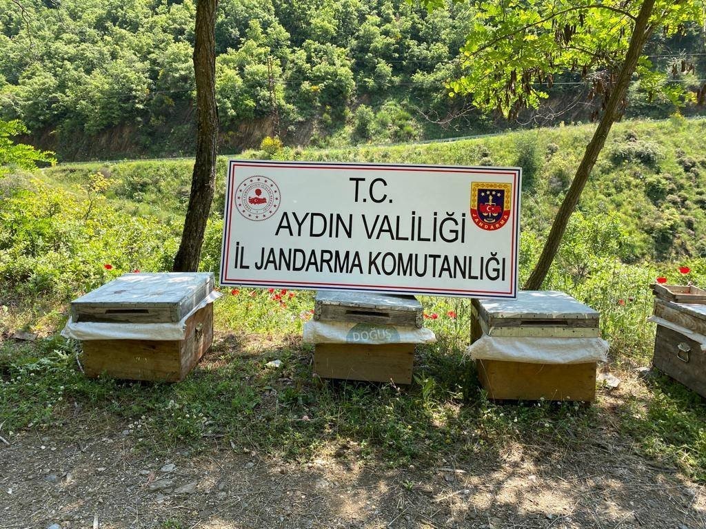 AYDIN'IN SULTANHİSAR İLÇESİNDE BİR ŞAHSA AİT ARILIKTAN ARI KOVANLARININ ÇALINMASI