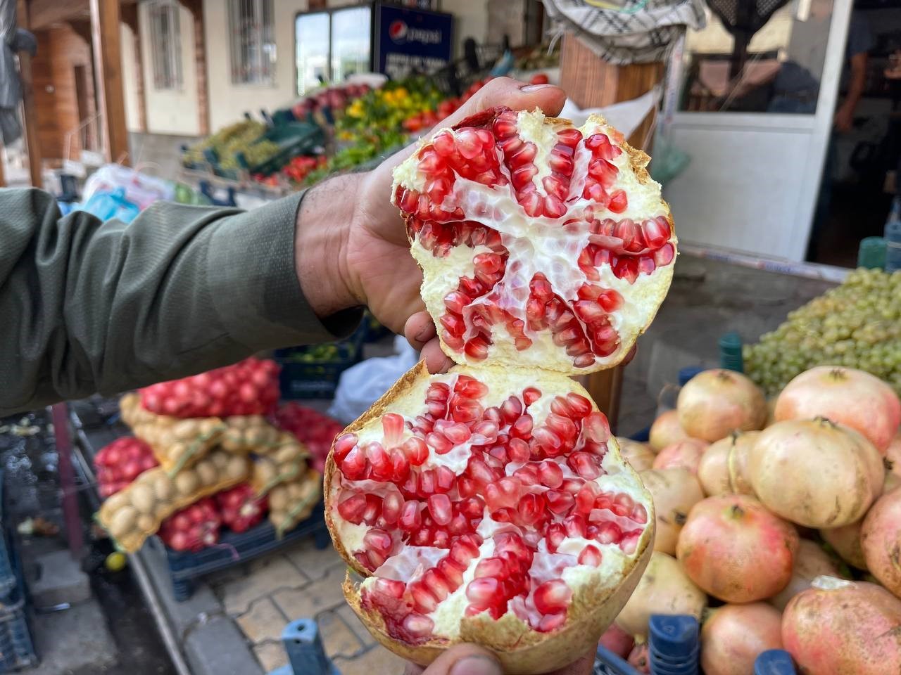 AVRUPA BİRLİĞİ ŞANLIURFA'NIN SURUÇ İLÇESİNDE ÜRETİLEN NARIN TESCİLLİ COĞRAFİ İŞARET