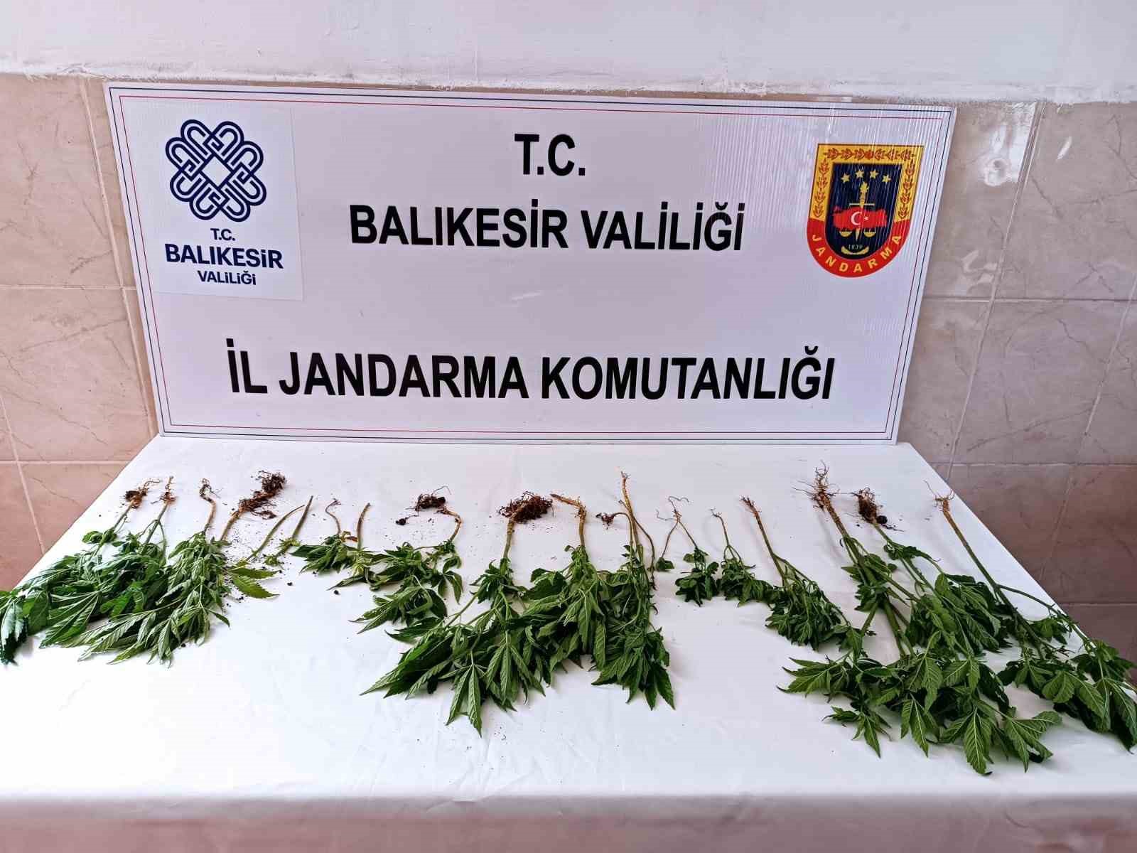 BALIKESİR'DE UYUŞTURUCU OPERASYONUNDA İKİ KİŞİ YAKALANDI