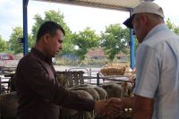 BANDIRMA VE GÖNEN'DE KURBAN PAZARI KURULDU