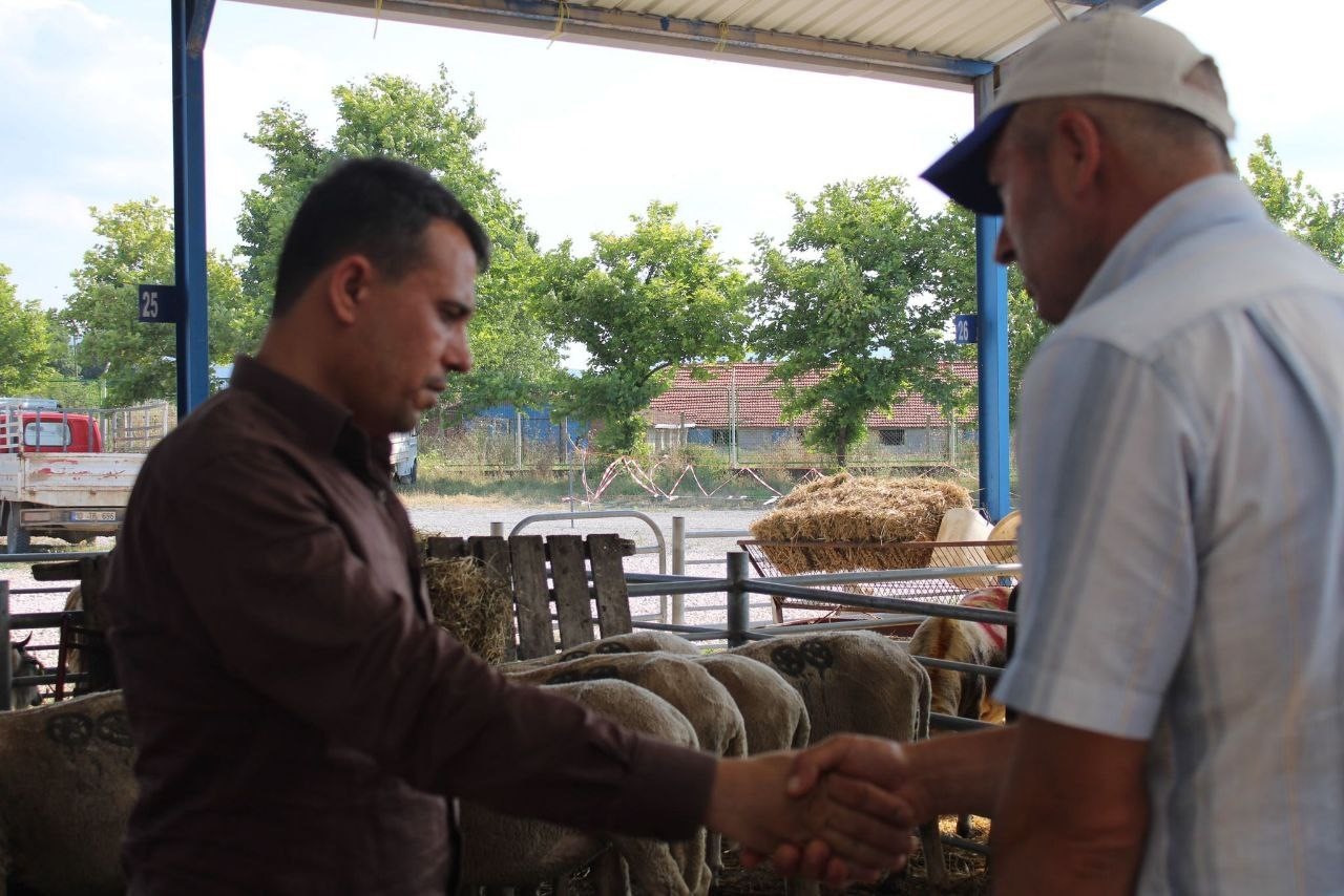 BANDIRMA VE GÖNEN'DE KURBAN PAZARI KURULDU