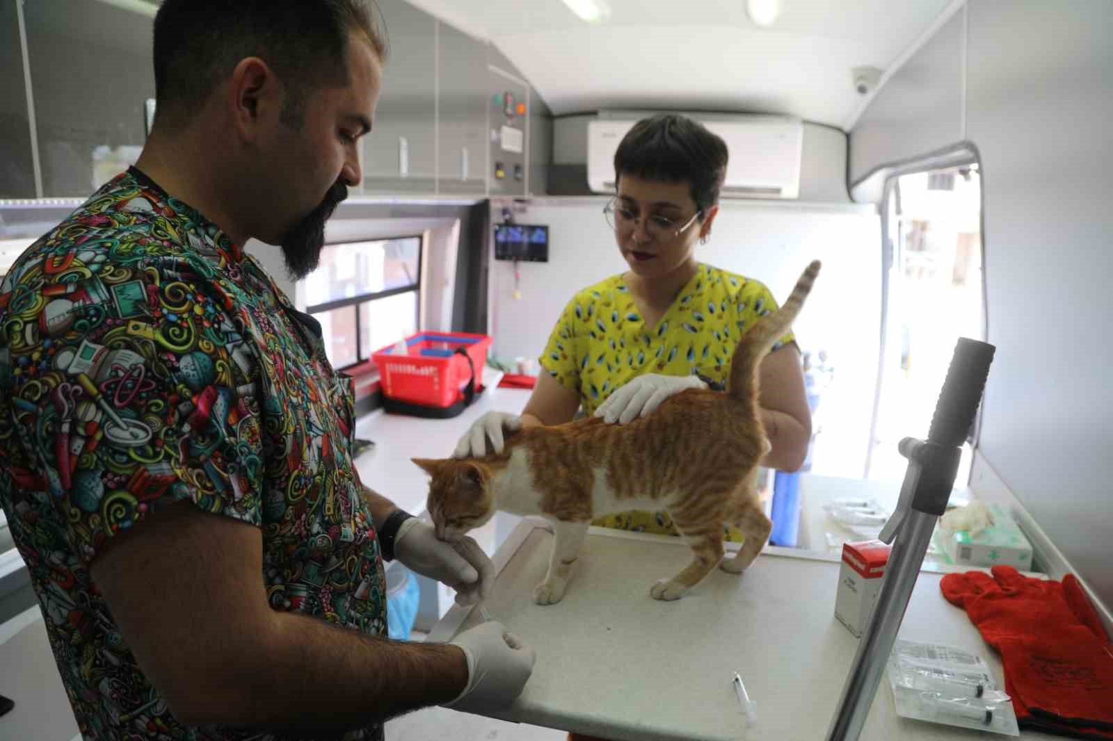 BELEDİYE, SOKAK HAYVANLARI İÇİN ÇALIŞMAYA DEVAM EDİYOR
