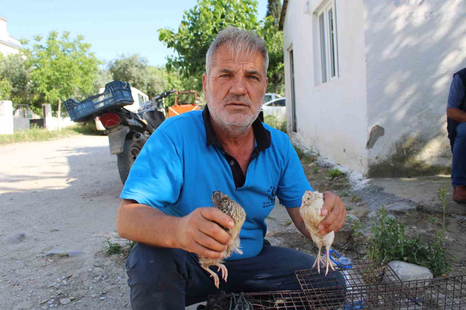 BILDIRCIN KUŞLARININ AV HAYVANI DIŞINDA YUMURTADAN ÜRETİLİP SATILMASI KONUSUNDA KOLAYLIK
