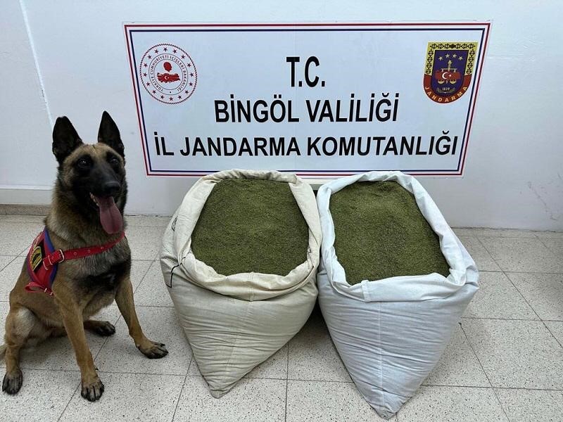 BİNGÖL’DE 45 KİLO UYUŞTURUCU MADDE ELE GEÇİRİLDİ