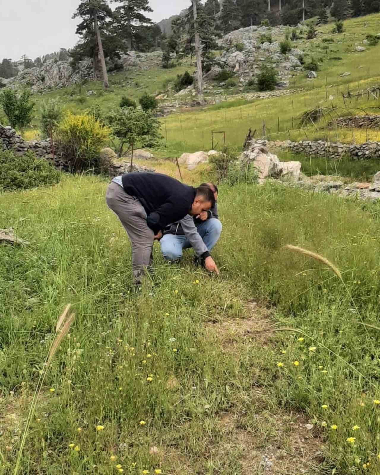 BİTKİ SAĞLIĞI İLE İLGİLİ KONTROLLER TAMAM