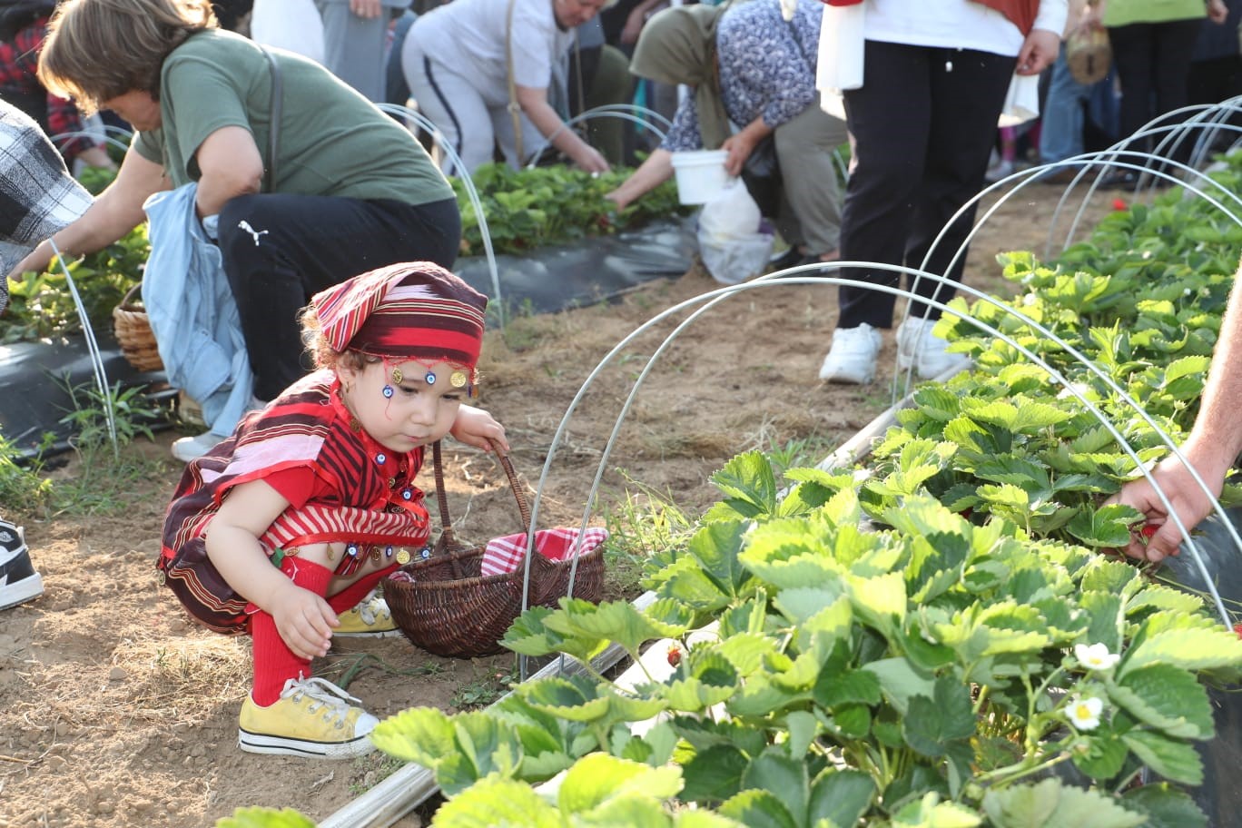 İZMİT BELEDİYESİNİN GEÇTİĞİMİZ EKİM AYINDA ATIL DURUMUNDAN KURTARARAK ÇAYIRKÖY MAHALLESİ'NDE