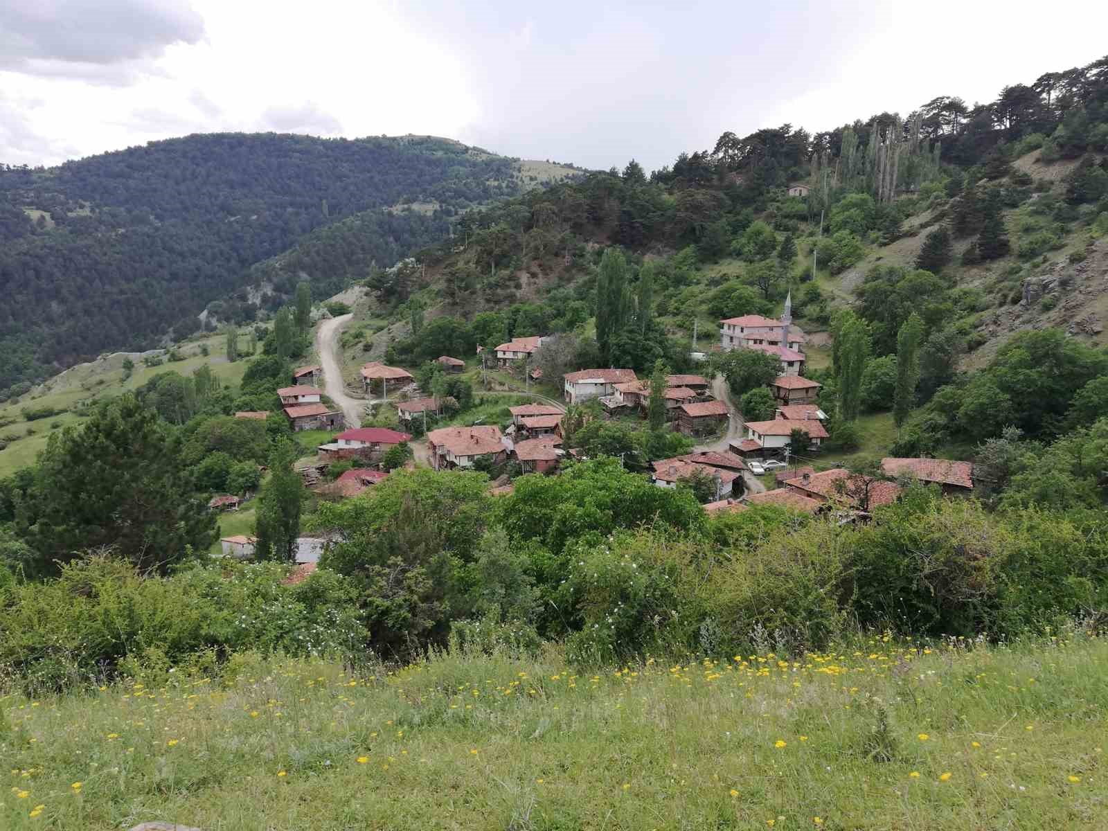KASTAMONU'NUN TOSYA İLÇESİNDE BULUNAN BİR KÖYDE 2. TUR CUMHURBAŞKANLIĞI SEÇİMİNDE