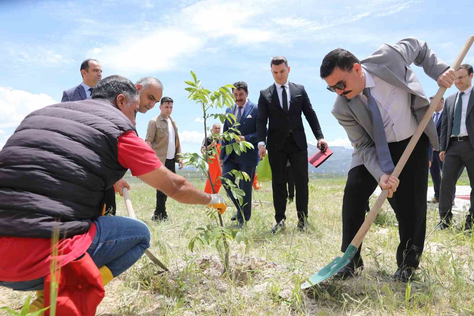 BURDUR’DA 550 BİN METREKARELİK ALANA KURULAN YENİ CEZAEVİ KAMPÜSÜNDE FİDAN