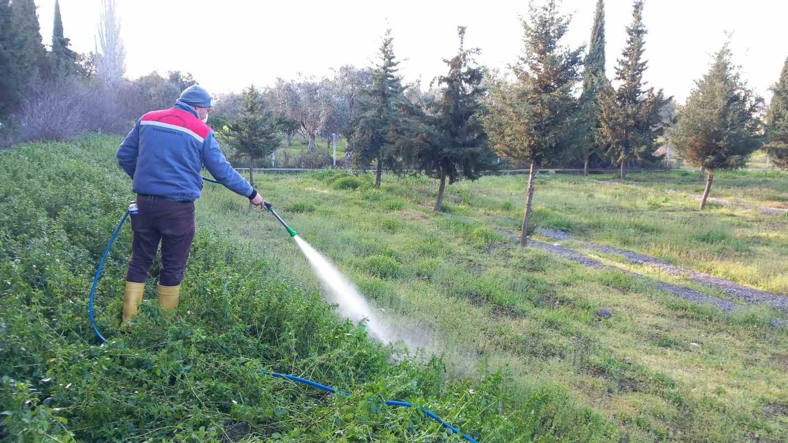 MEZARLIK BAKIMI