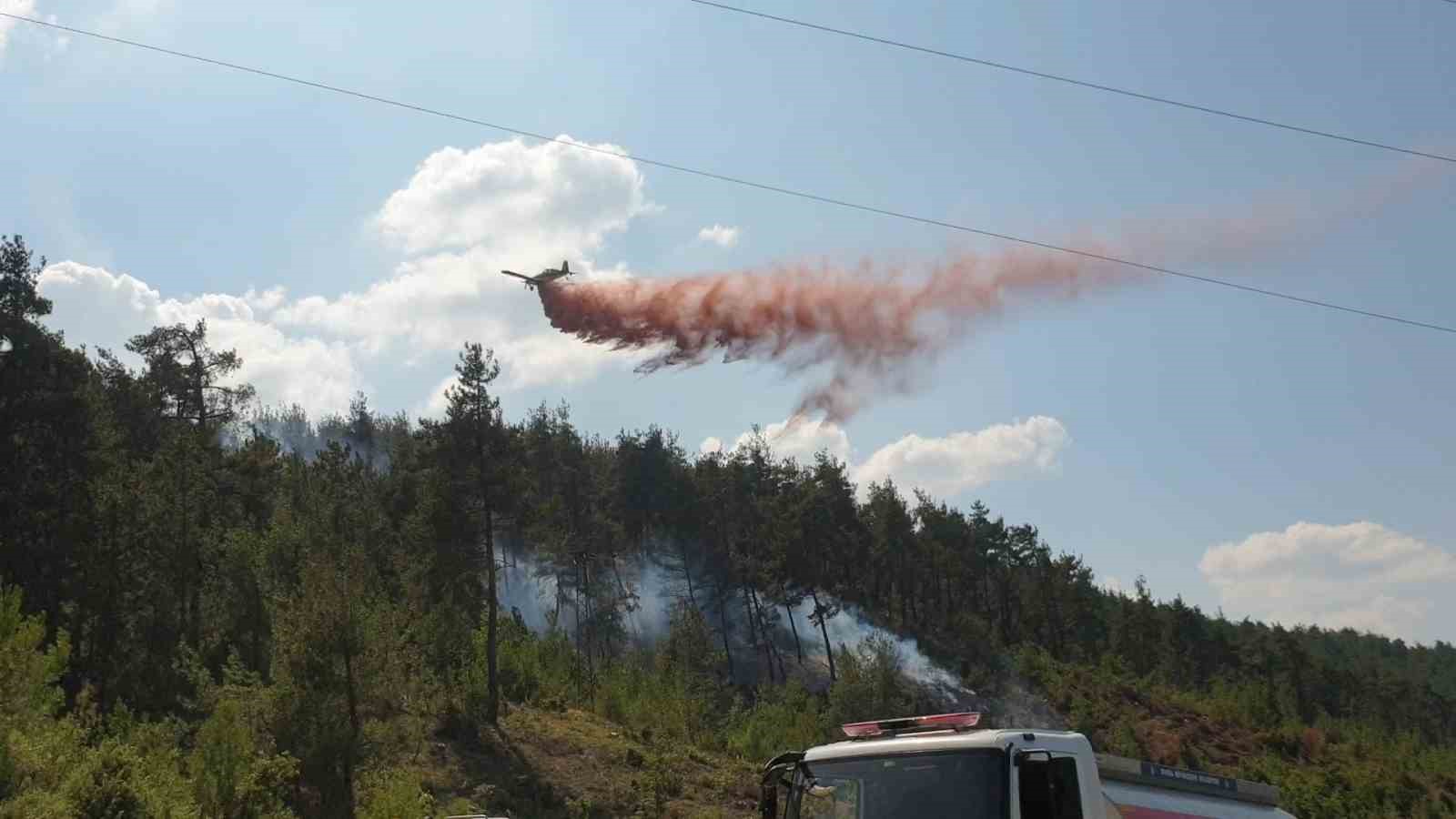 ORMAN YANGINLARINA KARŞI BURSA'DA TEYAKKUZ İLAN EDİLDİ (ARŞİV)