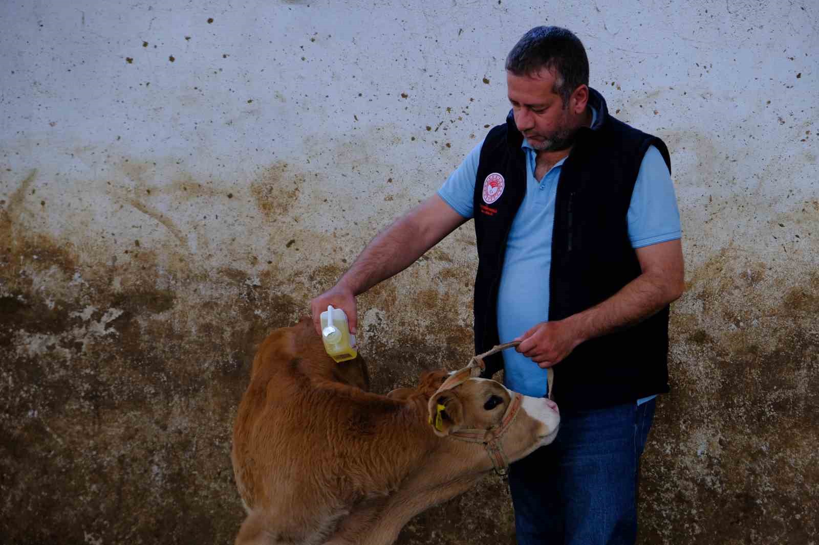 ERZİNCAN TARIM VE ORMAN İL MÜDÜRLÜĞÜNE BAĞLI HAYVAN SAĞLIĞI, YETİŞTİRİCİLİĞİ