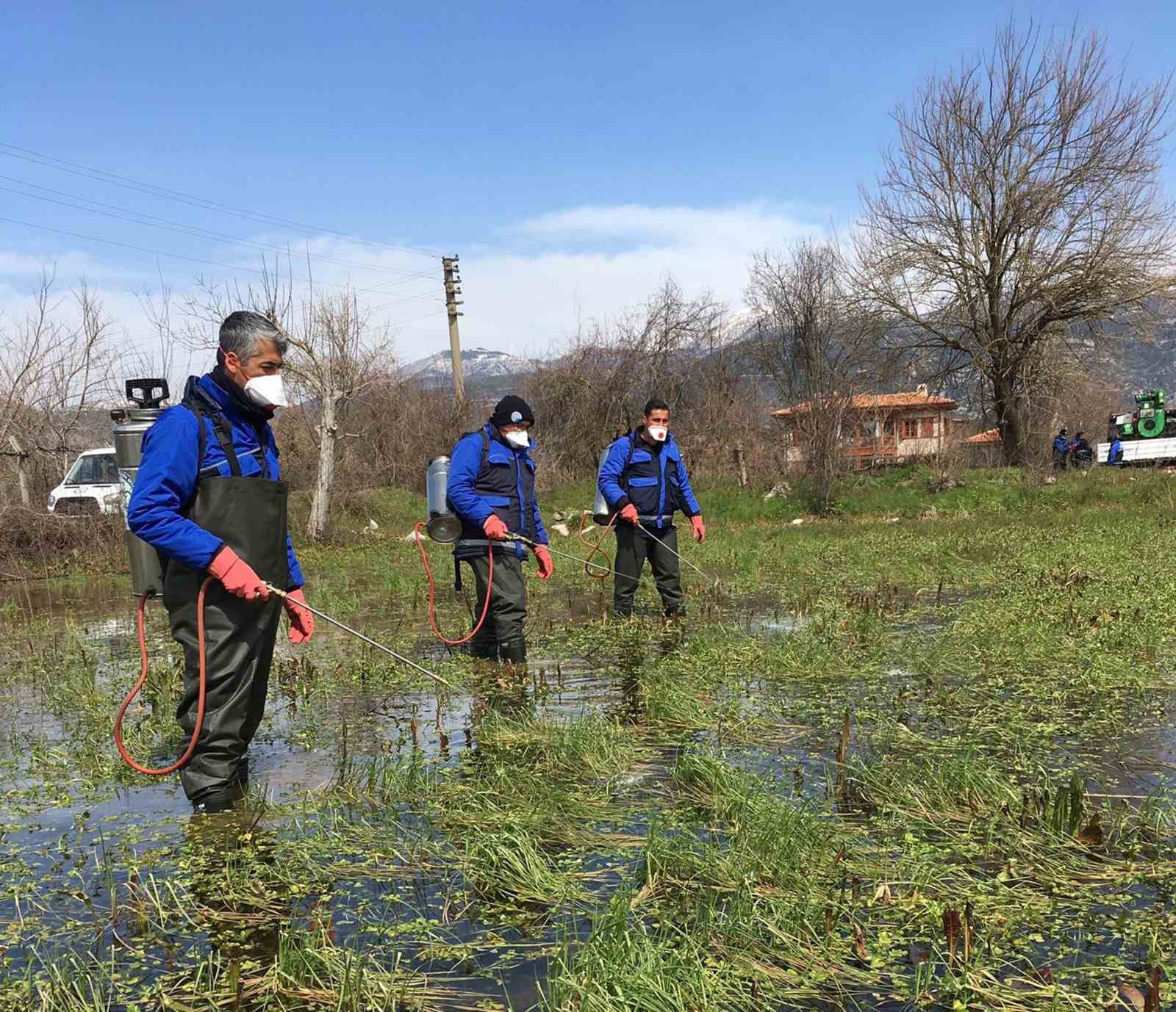 MUĞLA BÜYÜKŞEHİR BELEDİYESİ DEVAM EDEN YAĞMURLAR NEDENİYLE VEKTÖRLERİN ÜREME ALANLARININ