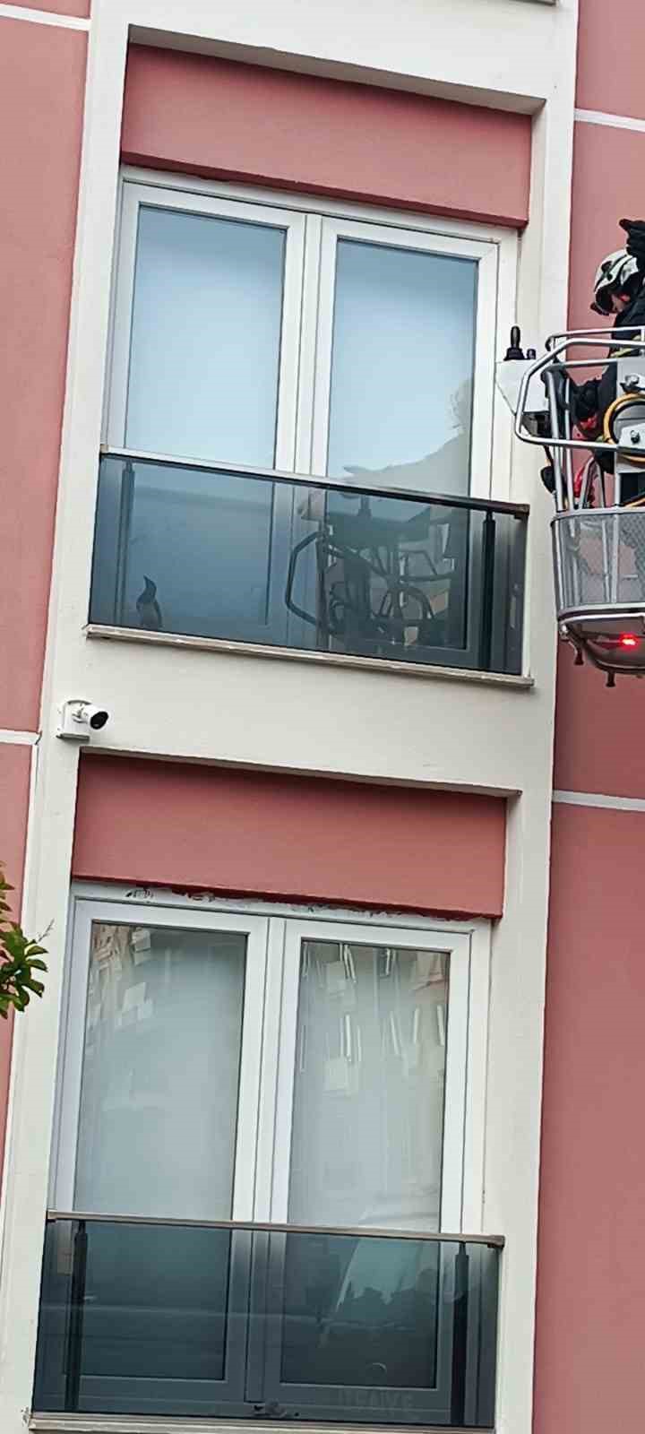 ISPARTA’DA DÜŞTÜĞÜ CAM BALKONDAN BİR TÜRLÜ ÇIKAMAYAN GÜVERCİN, İHBAR ÜZERİNE
