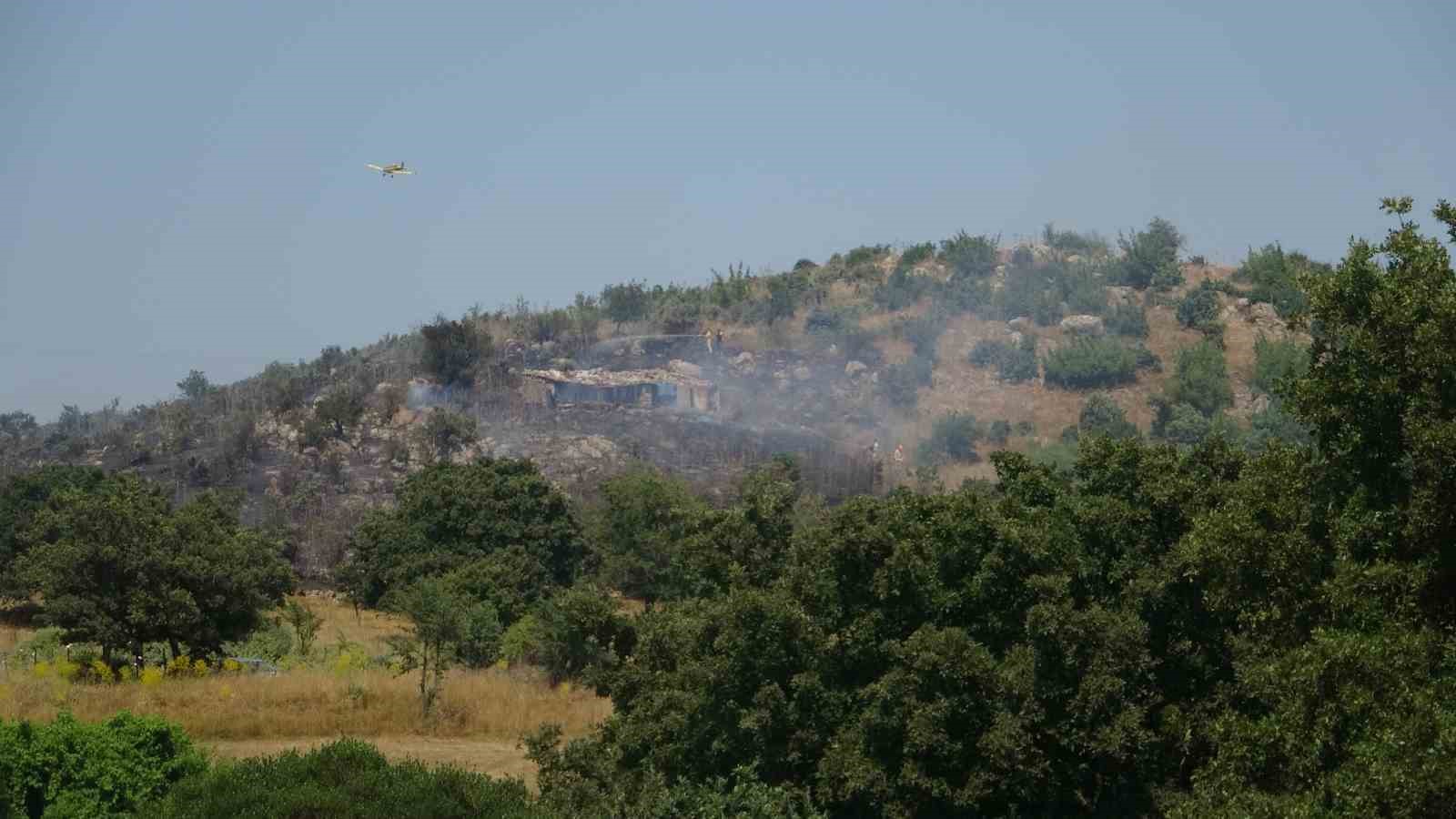 ÇANAKKALE’NİN AYVACIK İLÇESİNDE ZİRAİ ALANDA ÇIKAN YANGINDA 35 DÖNÜMLÜK ALAN