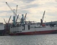 CANLI HAYVAN İTHALATI BANDIRMA LİMANI'NDA DEVAM EDİYOR