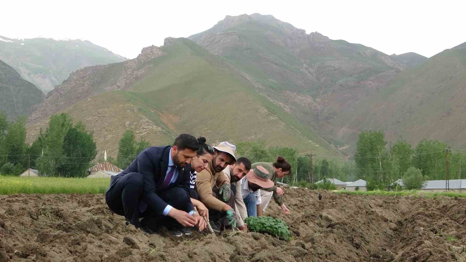 HAKKARİ’NİN YÜKSEKOVA ZİRAAT ODASI VE YÜKSEKOVA DESTAR KADIN TARIMSAL KALKINMA