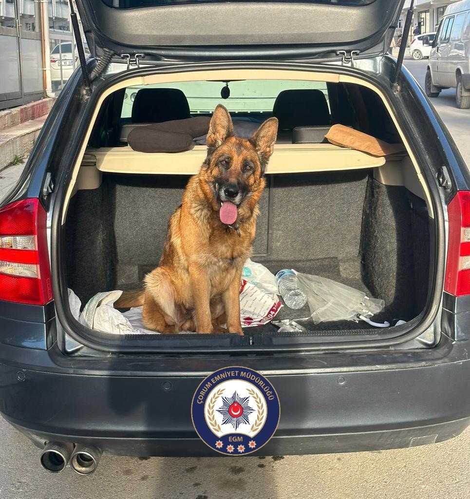 ÇORUM'DA, BİR EVDEN KÖPEK ÇALAN 2 KİŞİ, POLİS EKİPLERİ TARAFINDAN