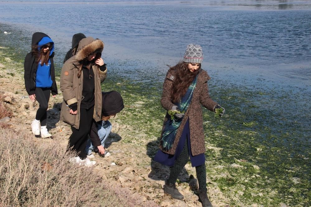 ARAŞTIRMA EKİBİ, DENİZ MARULUNUN BİYO BİLEŞENLERİ ARASINDA BOL MİKTARDA SELÜLOZ