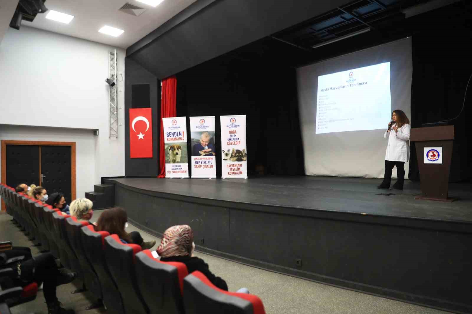 DENİZLİ BÜYÜKŞEHİR BELEDİYESİ, 5199 SAYILI HAYVANLARI KORUMA KANUNU VE HAYVANLARIN