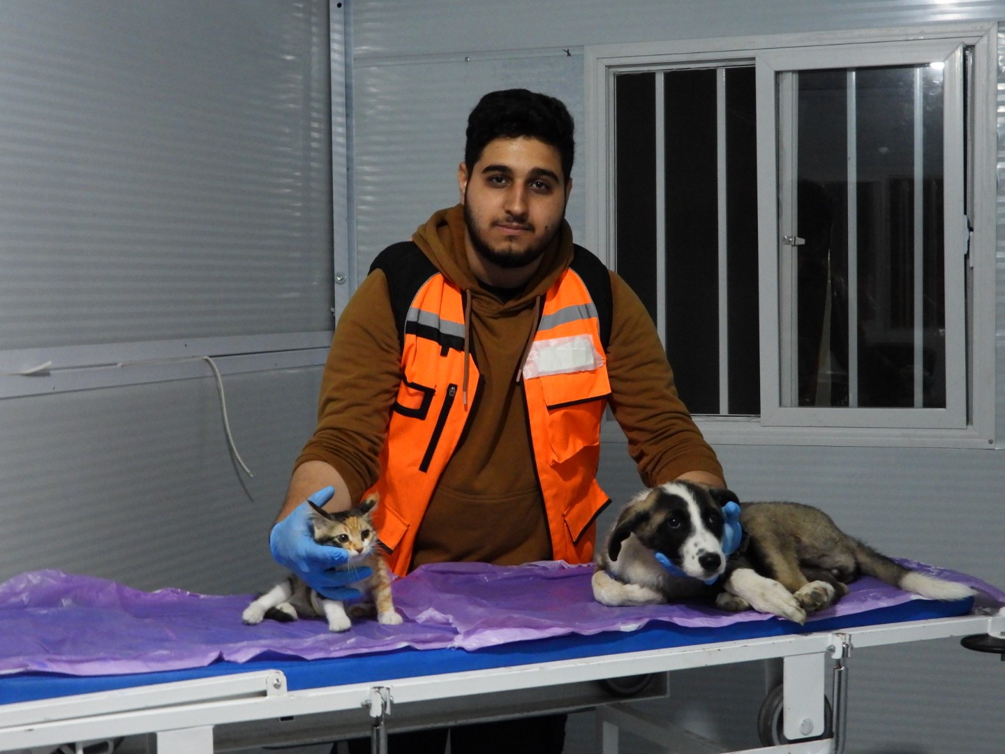 VETERİNERLİK ÖĞRENCİSİ ALPER CEM KÖPRÜCÜ, HATAY'DA ENKAZDAN ÇIKARILAN HASTA KEDİ