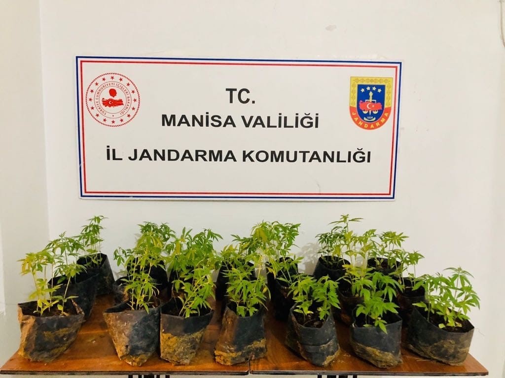 MANİSA'NIN ŞEHZADELER İLÇESİNDE BİR ŞAHSIN ARAZİSİNDE NAYLON POŞETLER İÇİNDE BOYLARI