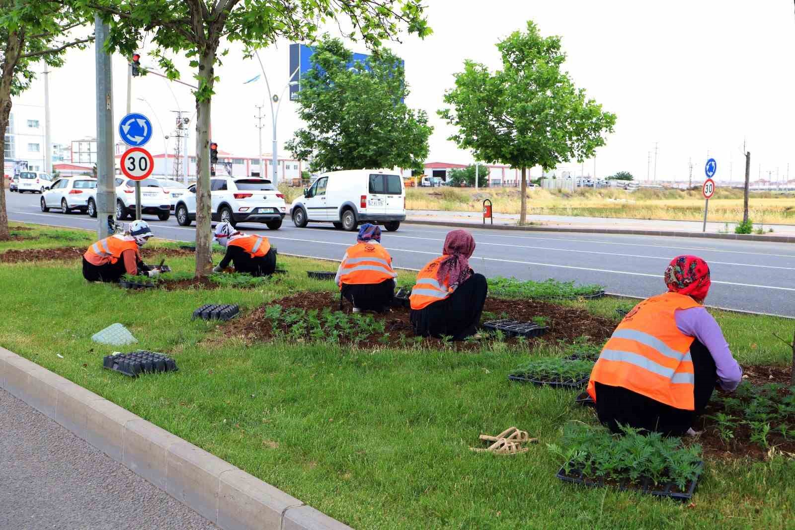 DİYARBAKIR BÜYÜKŞEHİR BELEDİYESİ, FARKLI RENK VE TÜRLERDE KENDİ TESİSLERİNDE ÜRETTİĞİ