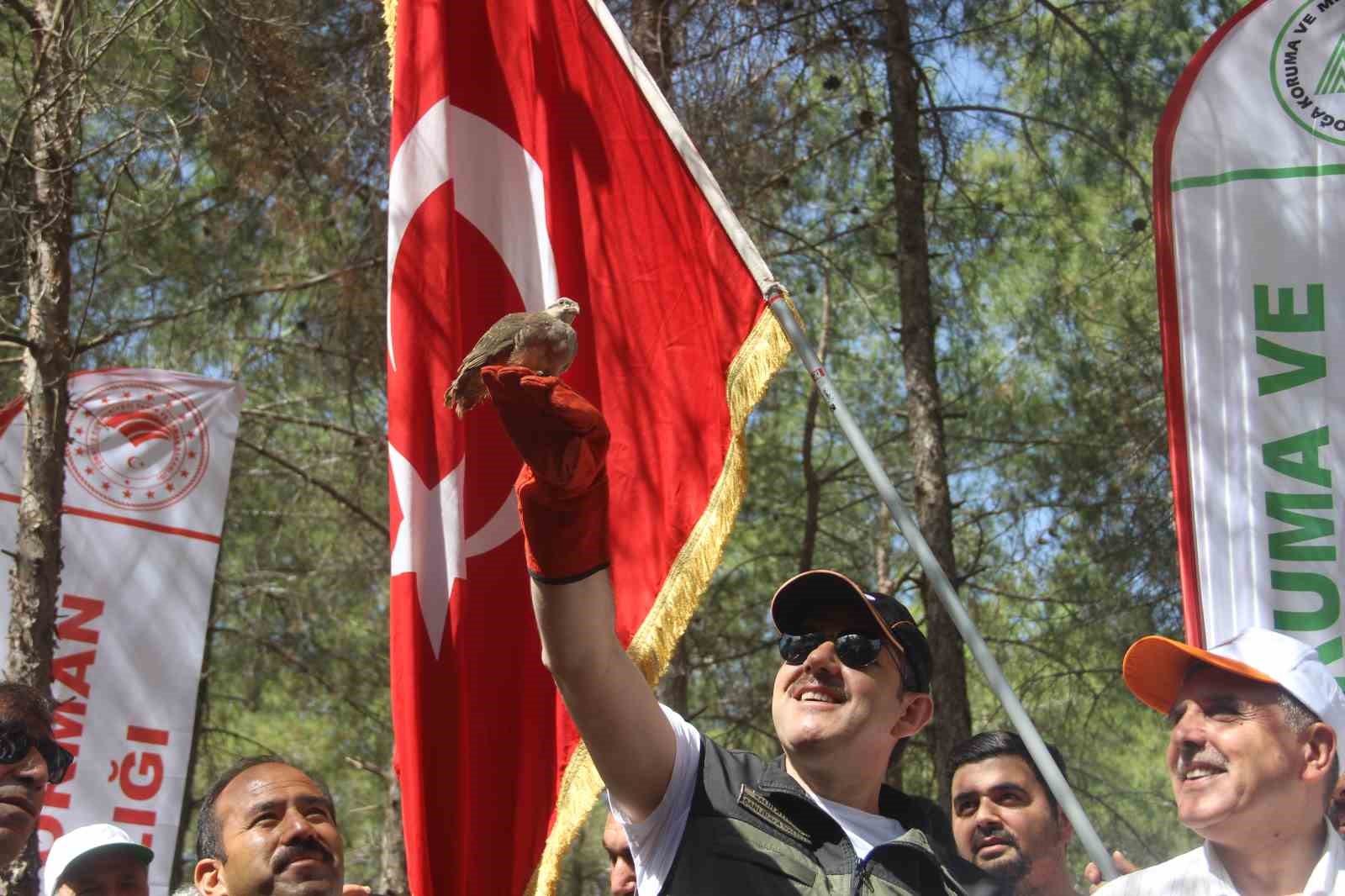 ŞANLIURFA'DA YÜZLERCE KEKLİĞİ DOĞAYA SALAN VALİ VE BELEDİYE BAŞKANI, VATANDAŞLARLA