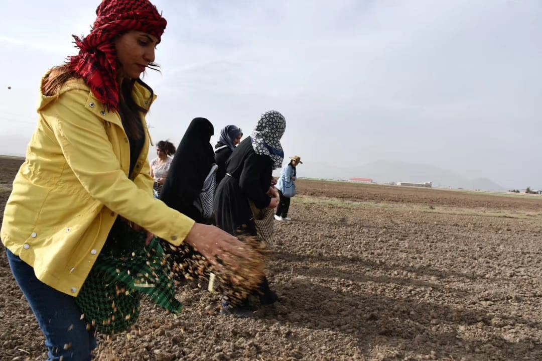 DOĞUBAYAZITLI KADINLAR TOPRAĞA HAYAT VERDİ
